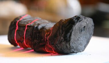 2.000 Jahre alte Papyrus-Rollen sollen wieder lesbar werden