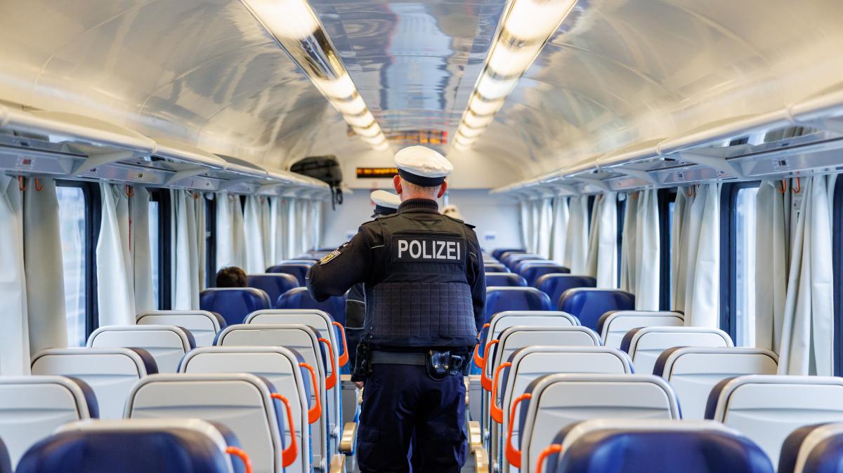 Katze sorgt für Polizeieinsatz in Regionalbahn