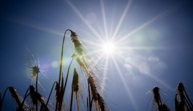 Temperaturen steigen, kein Regen in Sicht