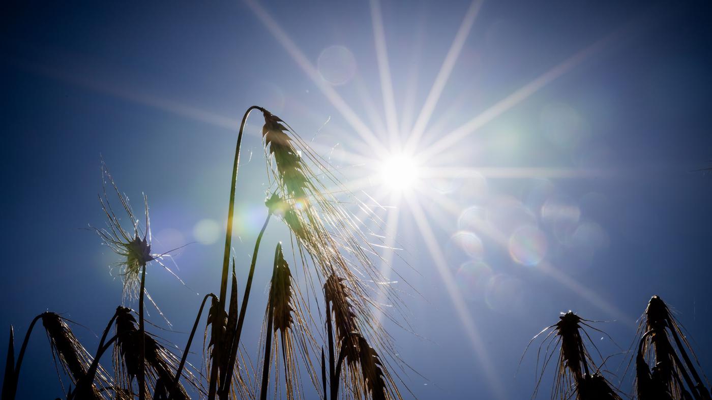 Temperaturen steigen, kein Regen in Sicht