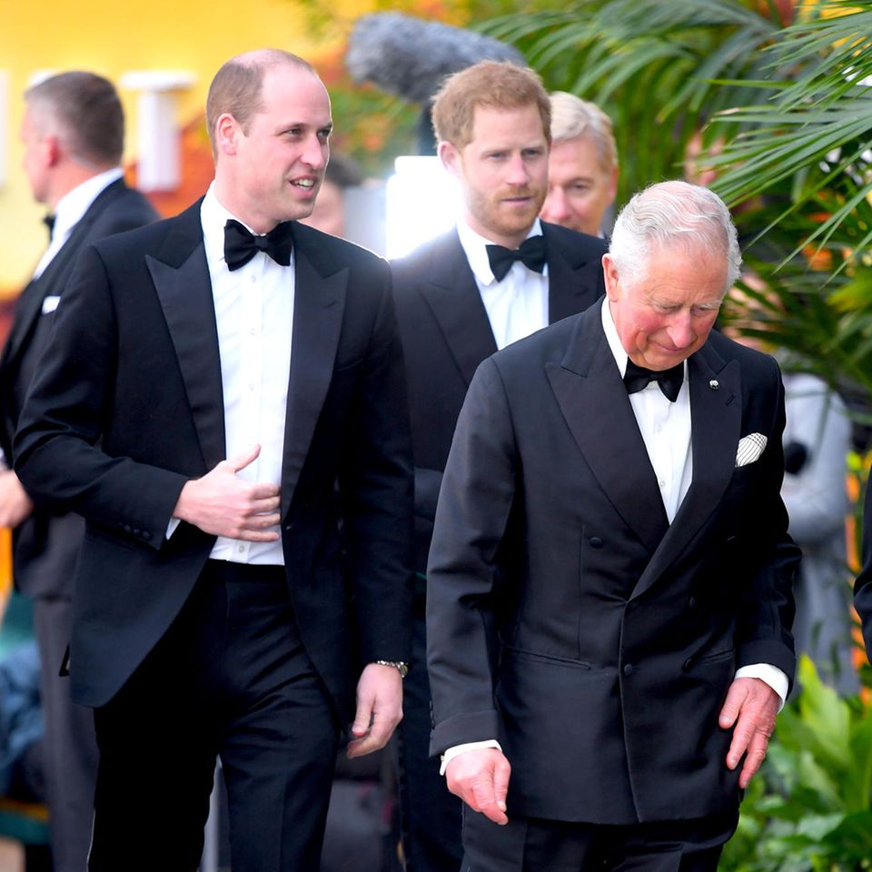 Prinz William, Prinz Harry und König Charles
