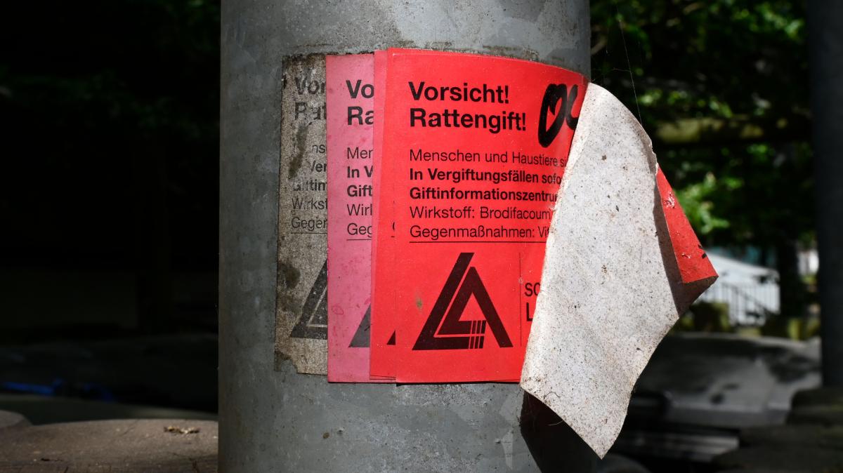 Rattenplage Kiel Gaarden: Der Plan der Stadt