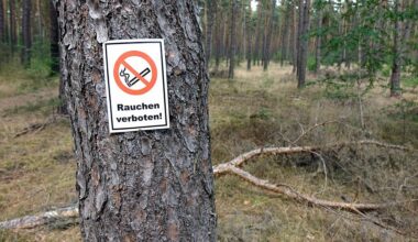 Rauchverbot im Wald gilt in Sachsen nicht für alle