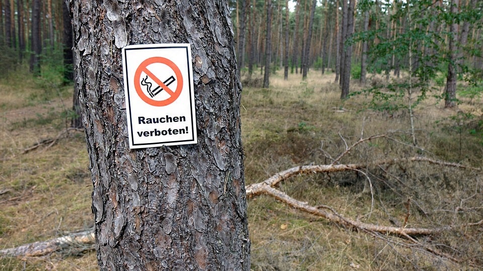 Rauchverbot im Wald gilt in Sachsen nicht für alle
