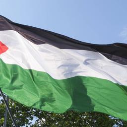 Symbolbild: Die Flagge Plalästinas bei einer Protest Demonstration in Berlin am 19.07.2025.(Quelle: IMAGO/Halil Sagirkaya)