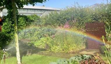 Besucherrekord zum Abschluss der Beleuchtungsabende im Botanischen Garten in Augsburg