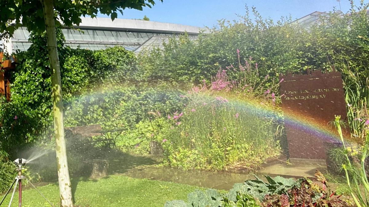 Besucherrekord zum Abschluss der Beleuchtungsabende im Botanischen Garten in Augsburg