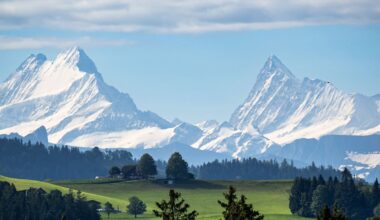 Wegen US-Zöllen: Nouripour bringt EU-Mitgliedschaft der Schweiz ins Gespräch