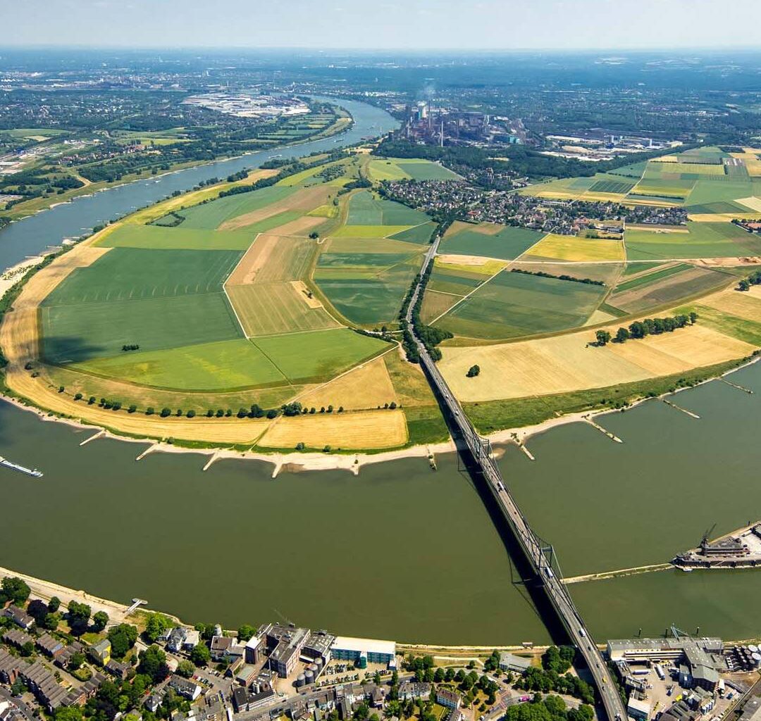 Auch Köln und Dormagen planen Badeverbot im Rhein