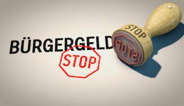 Bürgergeld-Skandal: Wie Politiker die Realität ignorieren