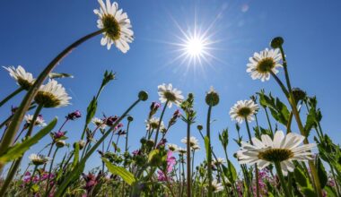Ab Mittwoch kommt der Sommer zurück nach Berlin-Brandenburg