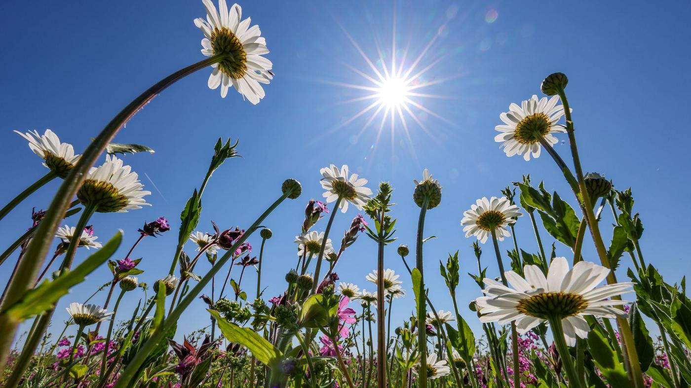 Ab Mittwoch kommt der Sommer zurück nach Berlin-Brandenburg