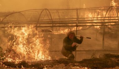 Verzweifelter Kampf gegen Waldbrände in Spanien