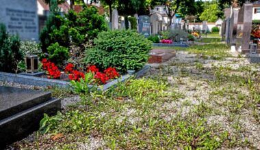 Ist der Alte Haunstetter Friedhof ungepflegt?