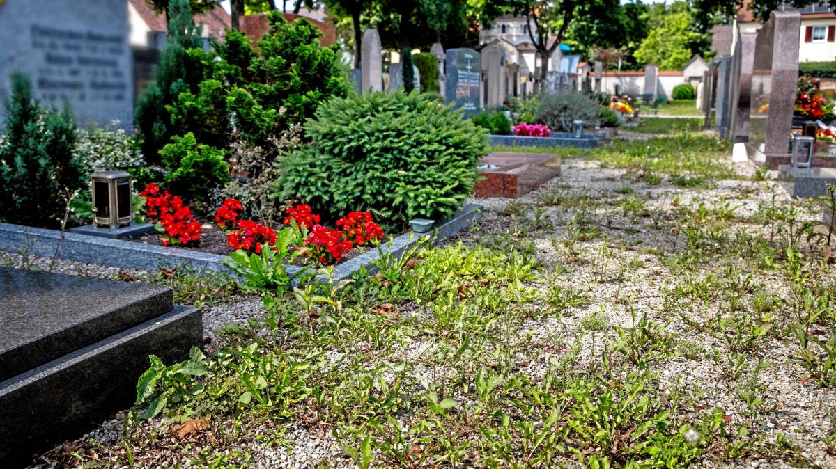 Ist der Alte Haunstetter Friedhof ungepflegt?