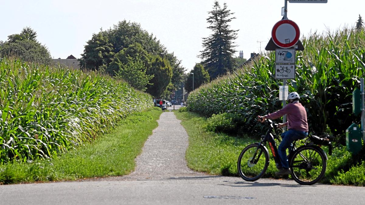 Was Anwohner über den geplanten Ausbau des Kirschenwegs denken