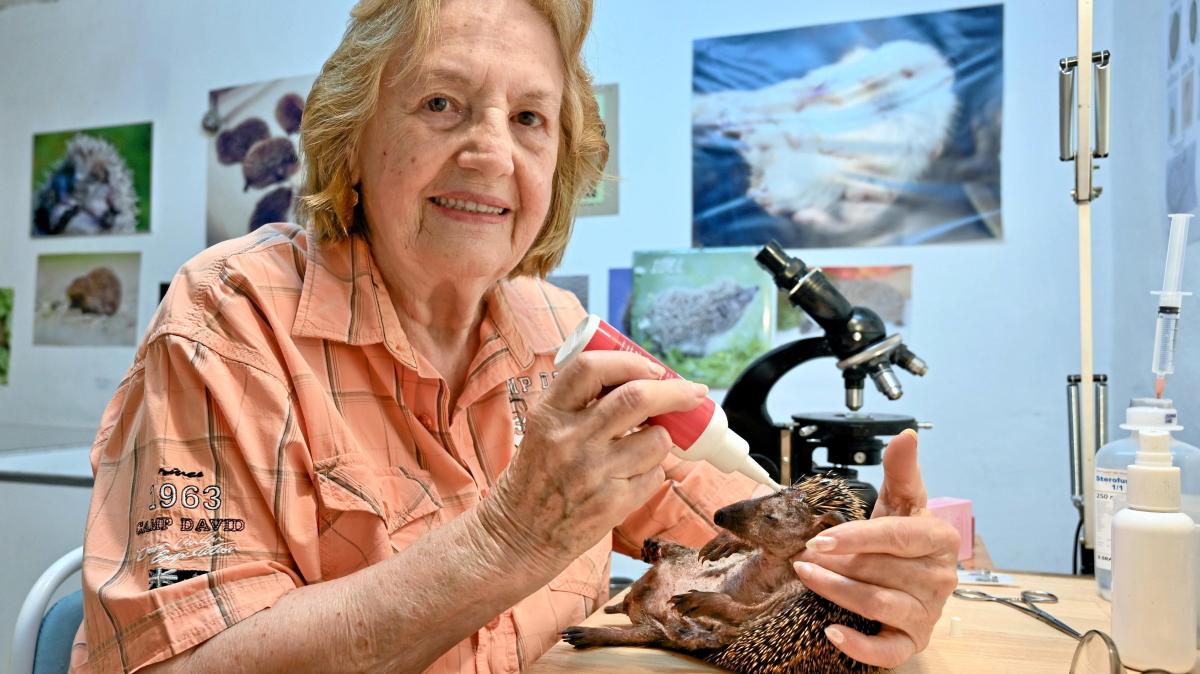 Ehrenzeichen für Hannelore Pentenrieder: Igelretterin bietet lebenswichtige Hilfe