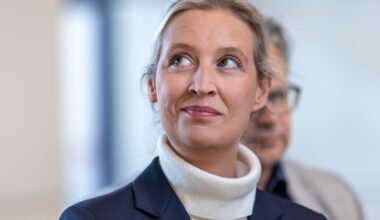 Umfrage: AfD bleibt in Forsa-Befragung stärkste Kraft – Linke verliert