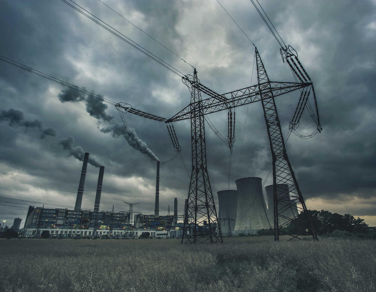 Blackout, Krieg, Pandemie - Hat Deutschland genug Getreide für den Notfall?