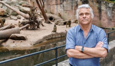 Tiergarten Nürnberg: Direktor erhält Morddrohungen – „Man sollte Sie erschießen“