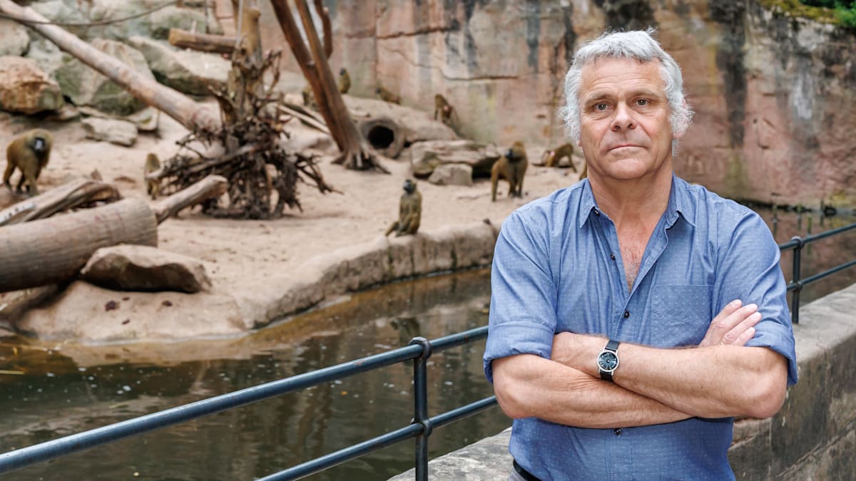 Tiergarten Nürnberg: Direktor erhält Morddrohungen – „Man sollte Sie erschießen“