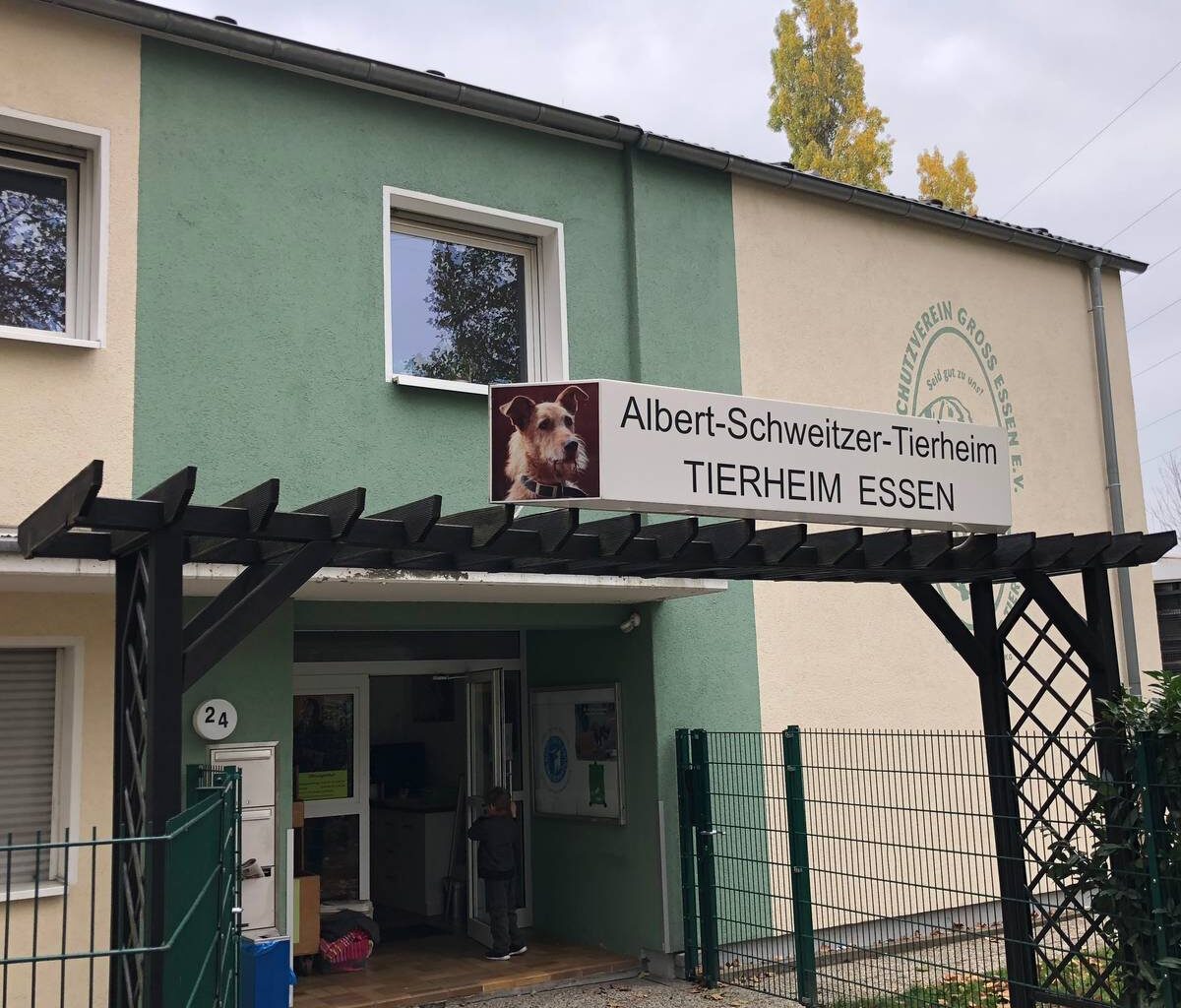 Tierheim in Essen überlastet - viele Abgabeanfragen für die Ferien