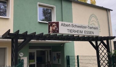 Tierheim in Essen überlastet - viele Abgabeanfragen für die Ferien