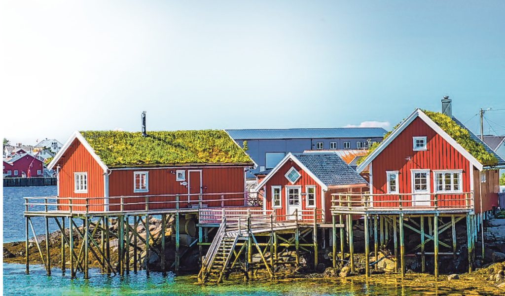 Lesegenuss aus Skandinavien | MOPO