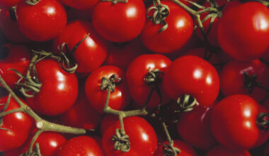 Überraschende Effekte: Warum Sie jeden Tag Tomaten essen sollten