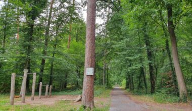 Jogger-Angriffe in Karlsruhe: Polizei jagt Serien-Schläger
