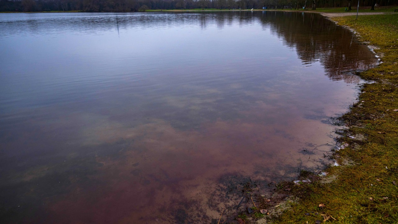 Umweltressort warnt wegen Blaualgen vor Baden in 3 Bremer Seen
