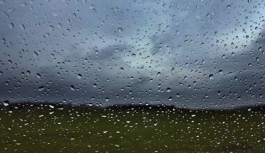Was der Dauerregen im Juli bewirkt hat