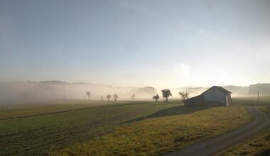 „Ich bin nicht bekloppt, ich war nur eine Woche allein in Brandenburg“