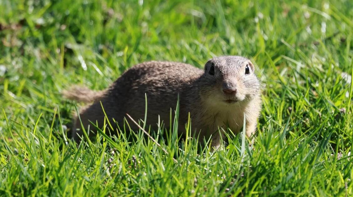 Fünf Grabungs-Profis nun im Grünen Zoo Wuppertal