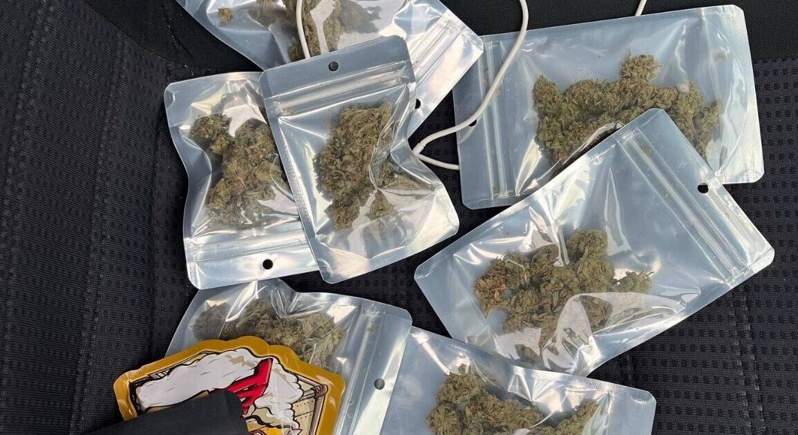 Mit Joint und Handy am Steuer – Polizei zieht Autofahrer aus dem Verkehr