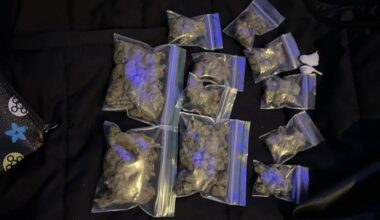 Mehrere Kilogramm Rauschgift bei Razzia sichergestellt