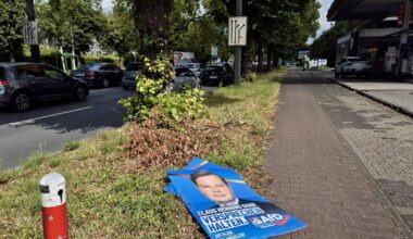 Die Hälfte aller AfD-Plakate ist bereits zerstört