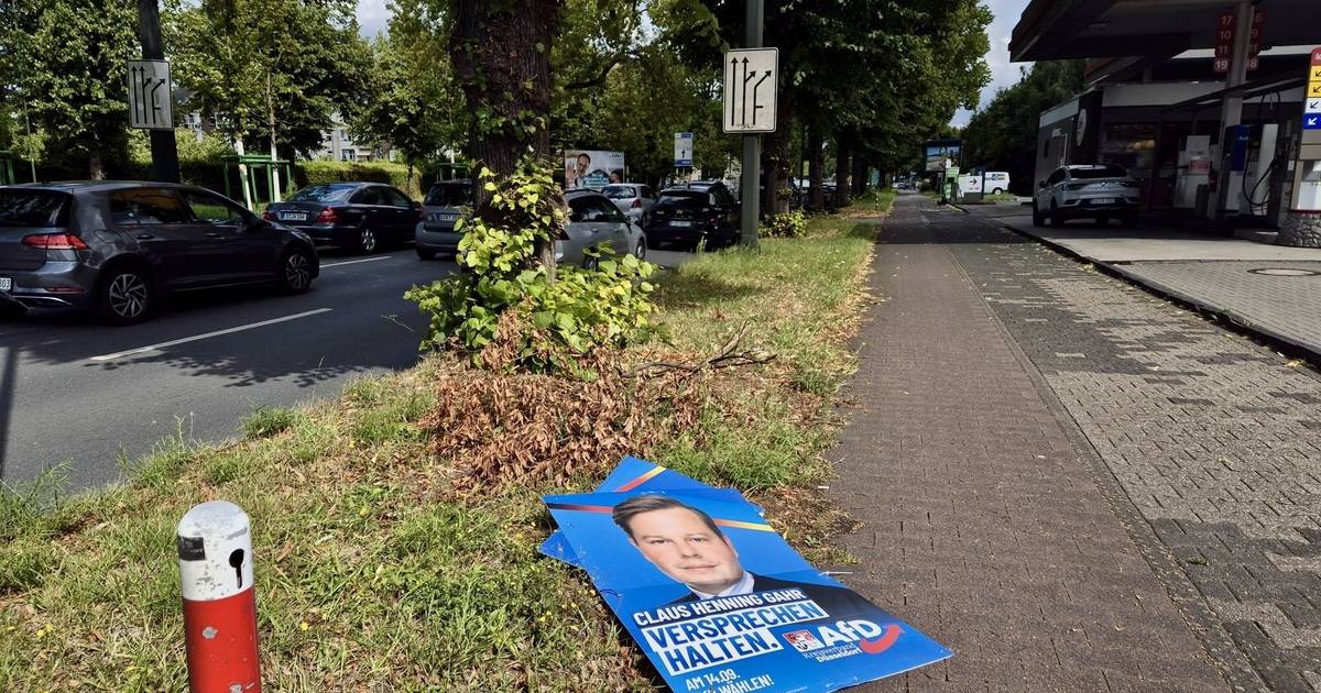 Die Hälfte aller AfD-Plakate ist bereits zerstört