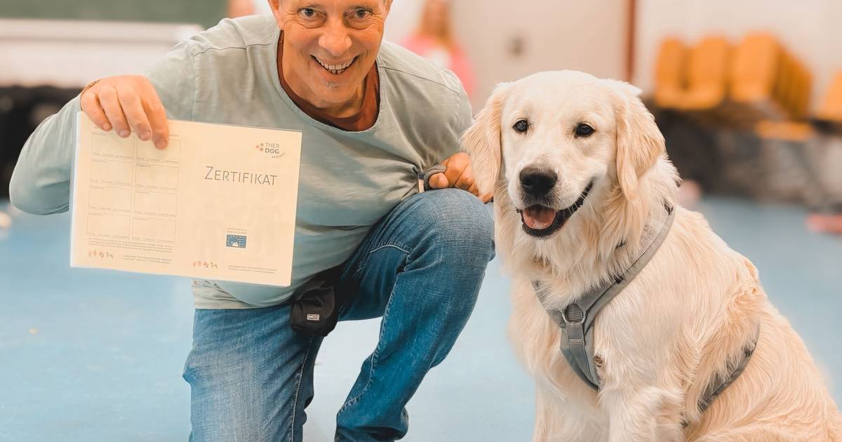 Hennes besteht Prüfung zum Besuchshund