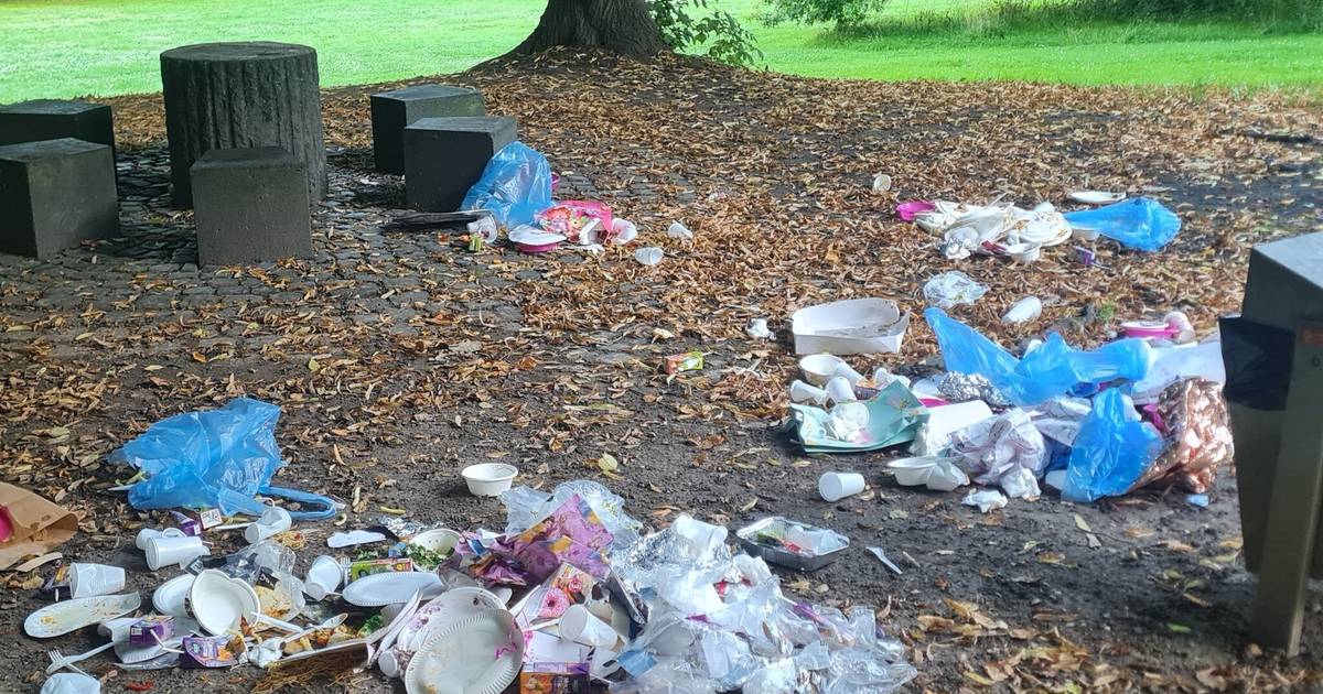 Wie kann man die Vermüllung der Natur unterbinden?