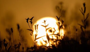 Wetter in Bonn: Abkühlung am Wochenende