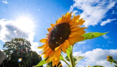 Temperaturen um 20 Grad zum Wochenende