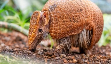 Mit Pepe, Tier des Jahres: Artenschutztag im Zoo Duisburg