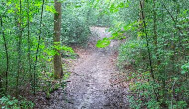 Wuppertals Wegenetz birgt bei Waldbränden ein Risiko