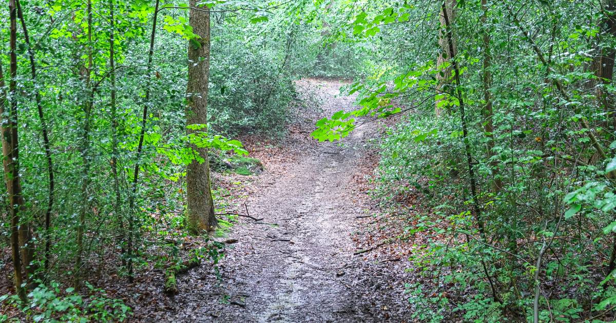 Wuppertals Wegenetz birgt bei Waldbränden ein Risiko