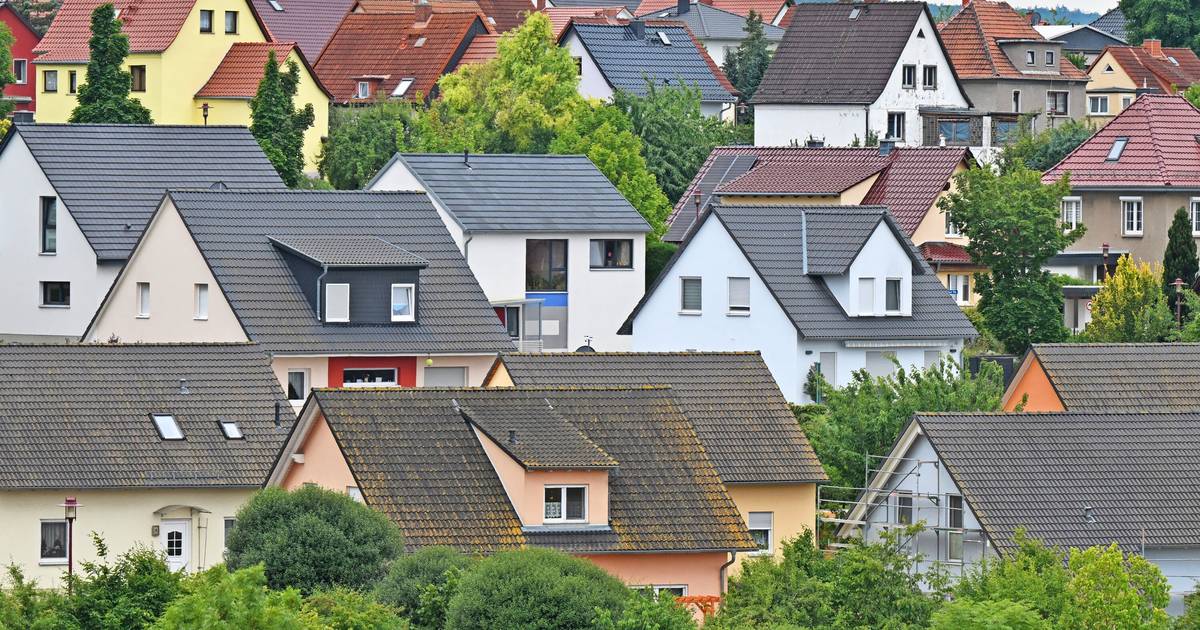 Bonn: Interview zur Wohnungssituation