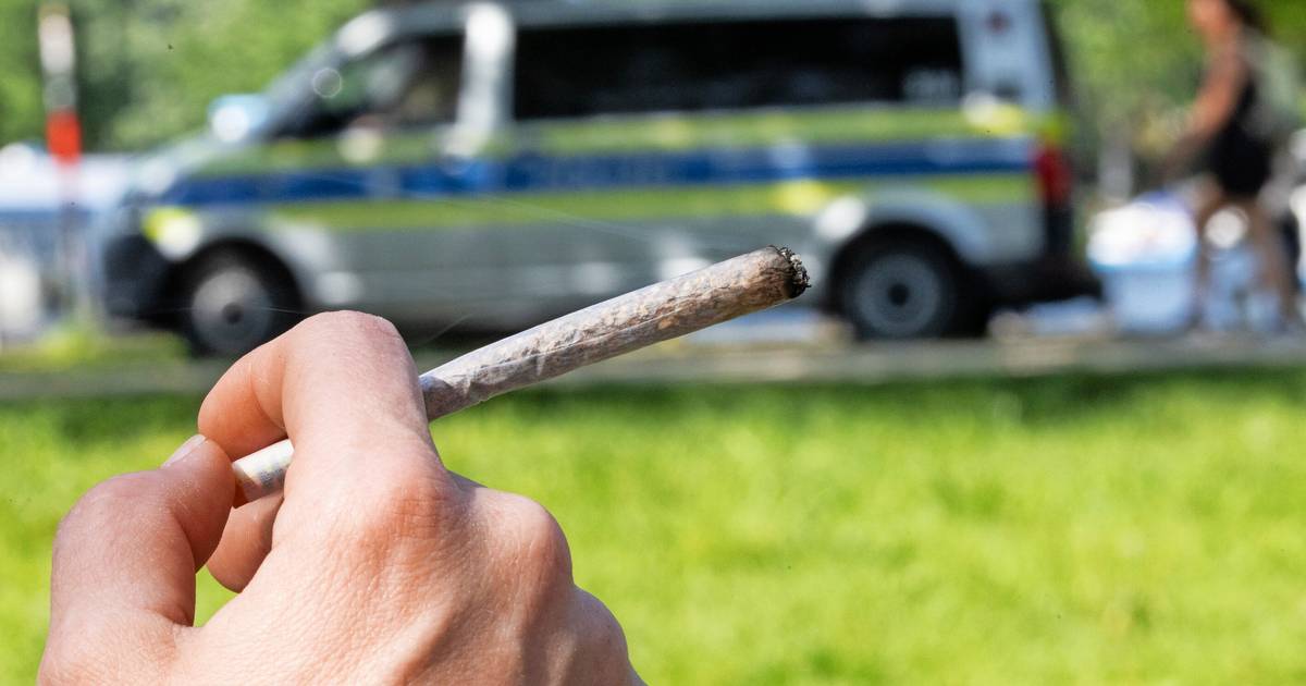Cannabis-Clubs kommen in Wuppertal nur langsam ins Rollen