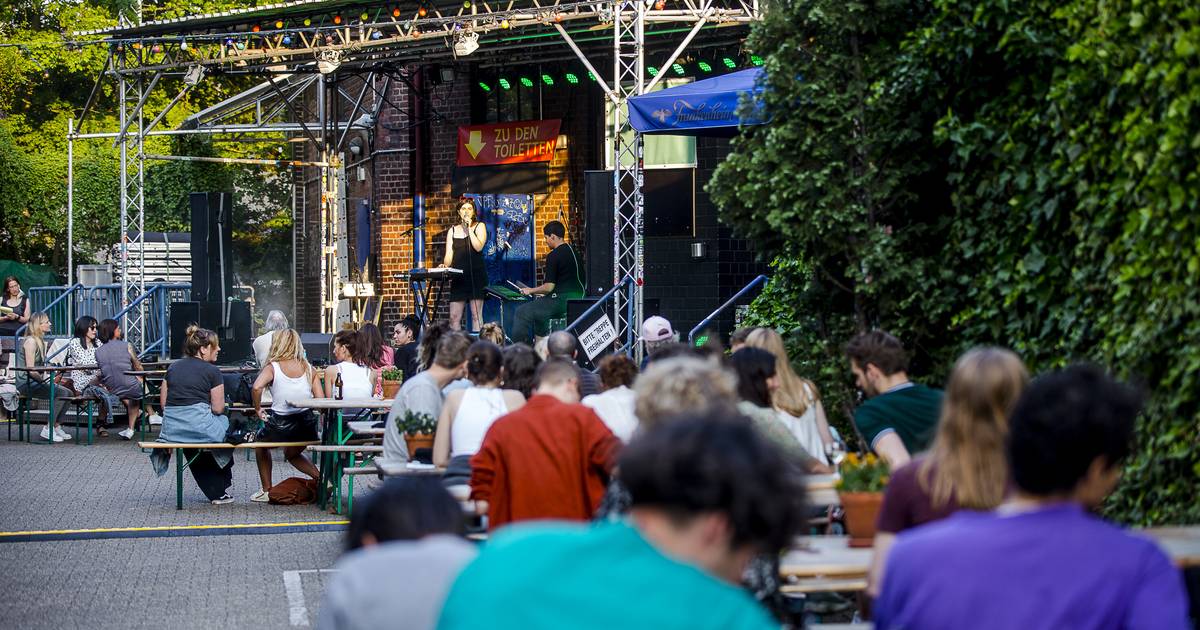 Tipps für die Woche vom 11. bis 15. August für Düsseldorf