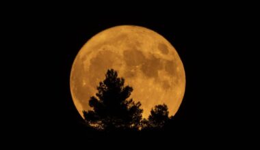 Vollmond am 9. August 2025: Erntemond erscheint besonders groß