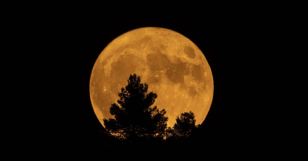Vollmond am 9. August 2025: Erntemond erscheint besonders groß